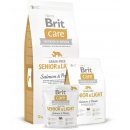 Brit Care Grain-free Senior&Light Salmon & Potato