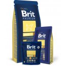 Brit Premium Junior M